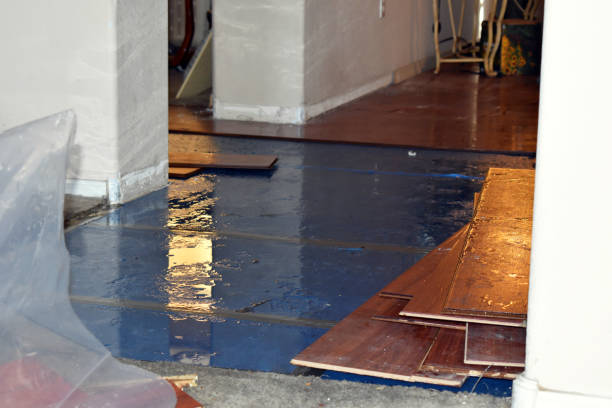 Professional Water Damage Restoration technician working in Danbury, WI